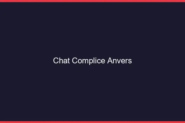 Chat Complice Anvers