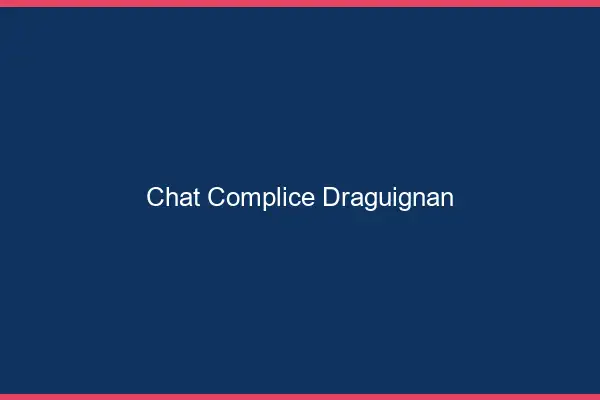 Chat Complice Draguignan