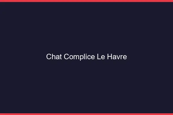 Chat Complice Le Havre