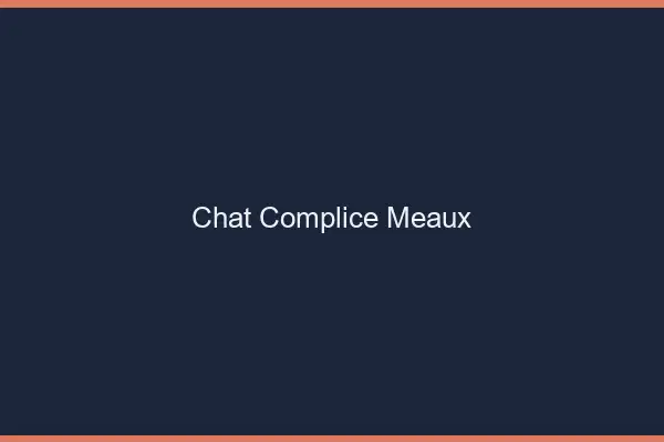 Chat Complice Meaux