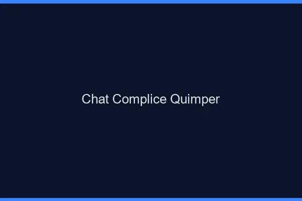 Chat Complice Quimper