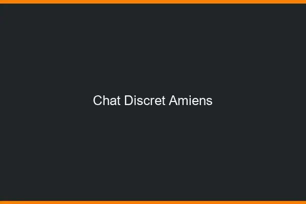Chat Discret Amiens