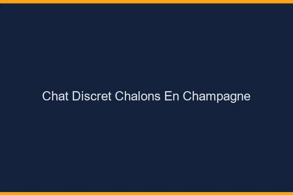Chat Discret Châlons-en-Champagne