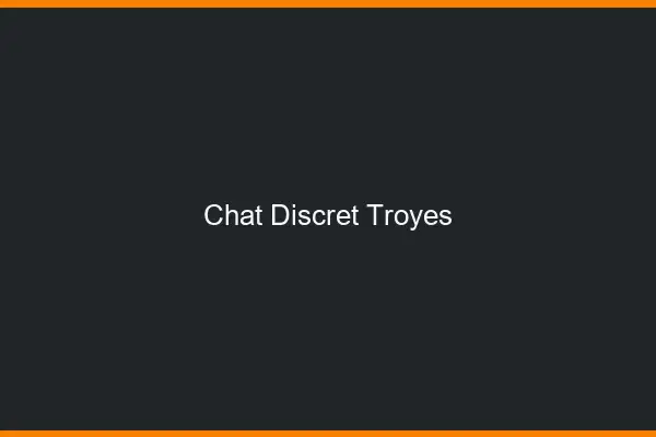 Chat Discret Troyes