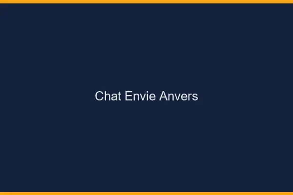 Chat Envie Anvers