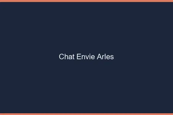 Chat Envie Arles