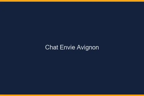 Chat Envie Avignon