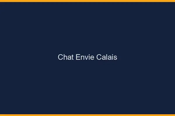 Chat Envie Calais