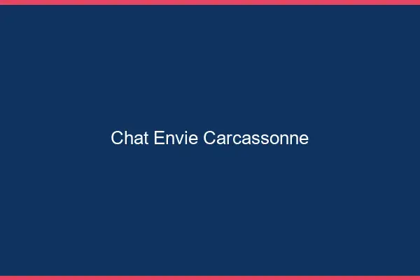 Chat Envie Carcassonne