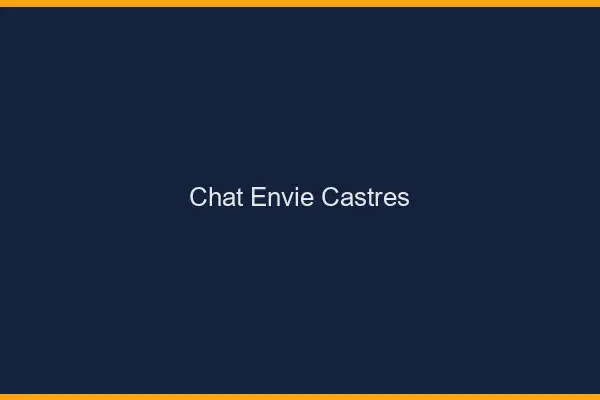 Chat Envie Castres