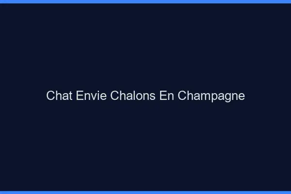 Chat Envie Châlons-en-Champagne