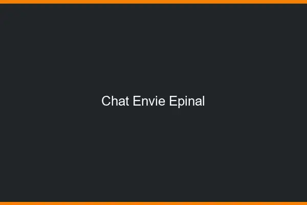 Chat Envie Épinal