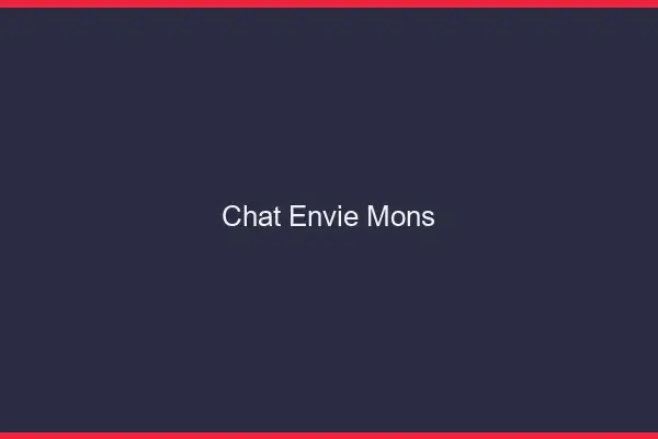 Chat Envie Mons