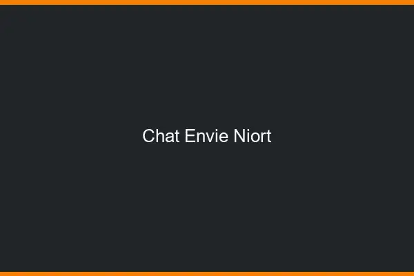 Chat Envie Niort