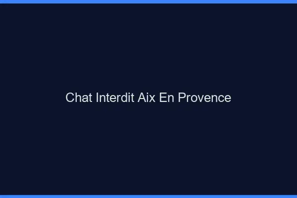 Chat Interdit Aix-en-Provence