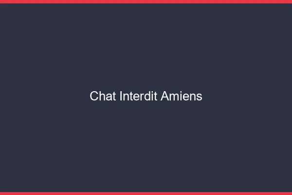 Chat Interdit Amiens