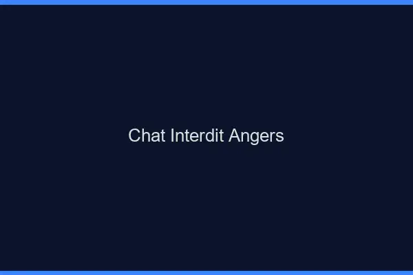 Chat Interdit Angers