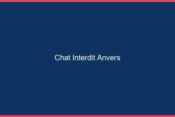 Chat Interdit Anvers