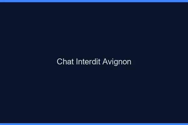 Chat Interdit Avignon