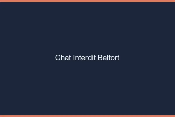 Chat Interdit Belfort