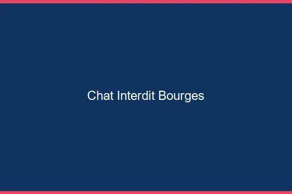 Chat Interdit Bourges