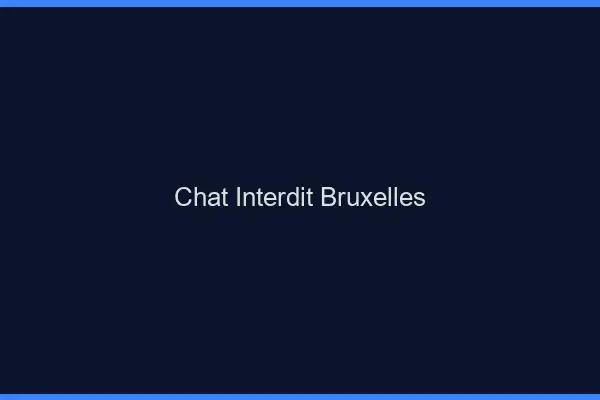 Chat Interdit Bruxelles