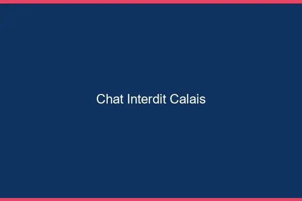 Chat Interdit Calais