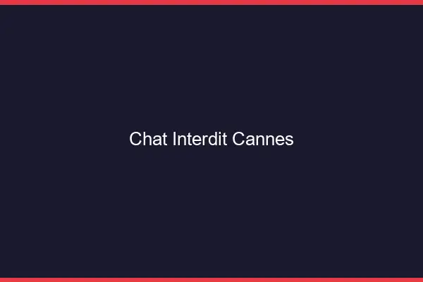 Chat Interdit Cannes