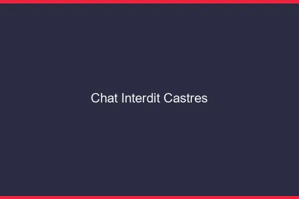 Chat Interdit Castres