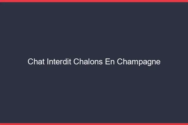 Chat Interdit Châlons-en-Champagne