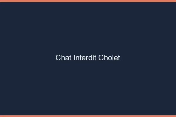 Chat Interdit Cholet