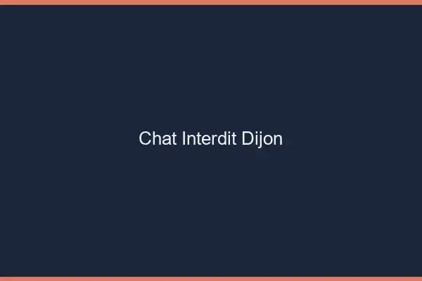 Chat Interdit Dijon