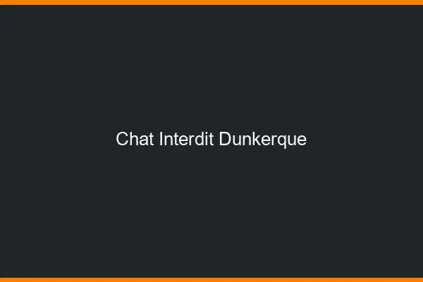 Chat Interdit Dunkerque