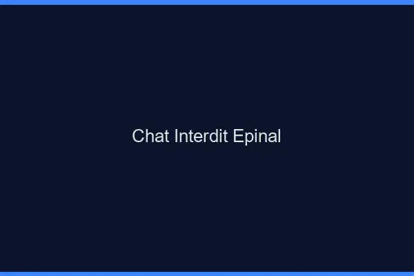 Chat Interdit Épinal