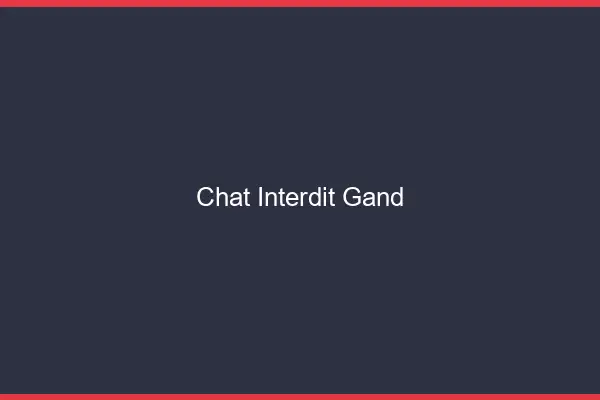 Chat Interdit Gand
