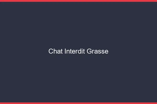 Chat Interdit Grasse
