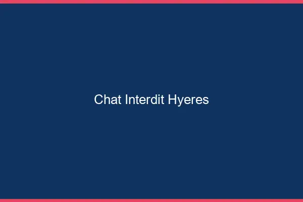 Chat Interdit Hyères