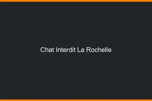 Chat Interdit La Rochelle