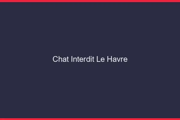 Chat Interdit Le Havre