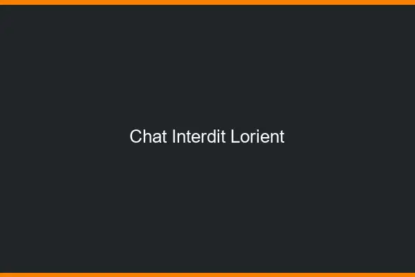 Chat Interdit Lorient
