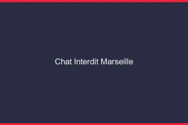 Chat Interdit Marseille