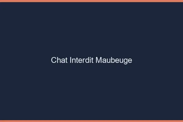Chat Interdit Maubeuge