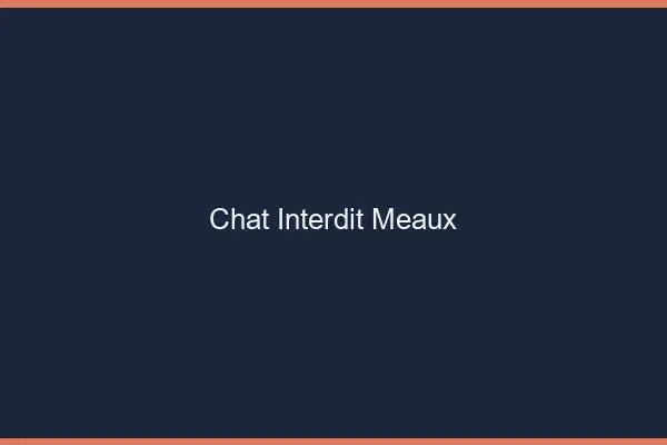 Chat Interdit Meaux