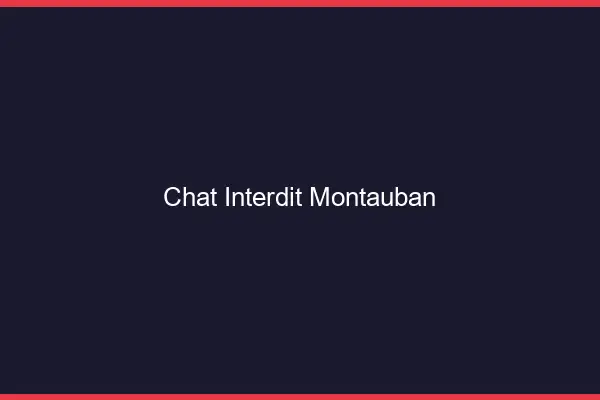 Chat Interdit Montauban