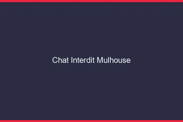 Chat Interdit Mulhouse