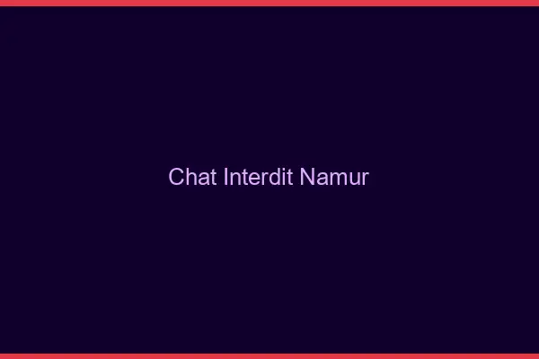 Chat Interdit Namur