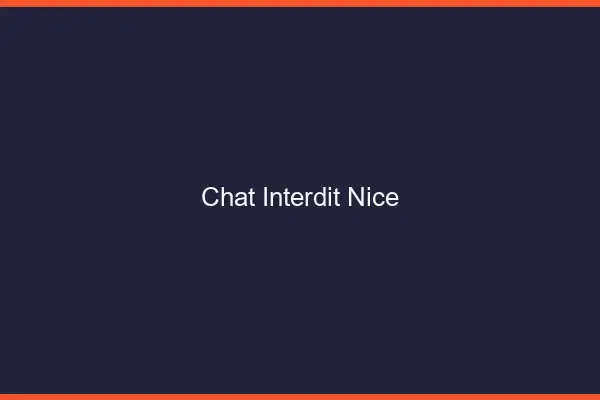 Chat Interdit Nice