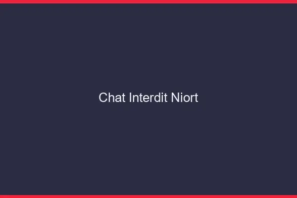Chat Interdit Niort