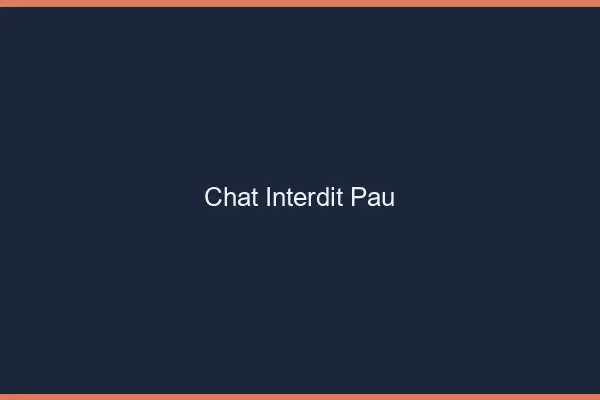Chat Interdit Pau