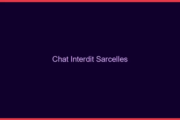 Chat Interdit Sarcelles
